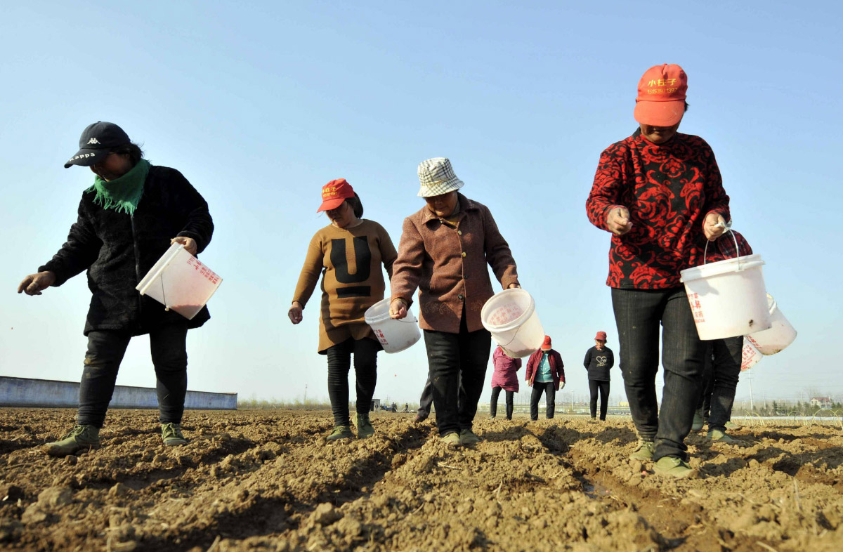 麻豆免费视频生態肥(féi)業提示:冬季施複合肥的注意事項