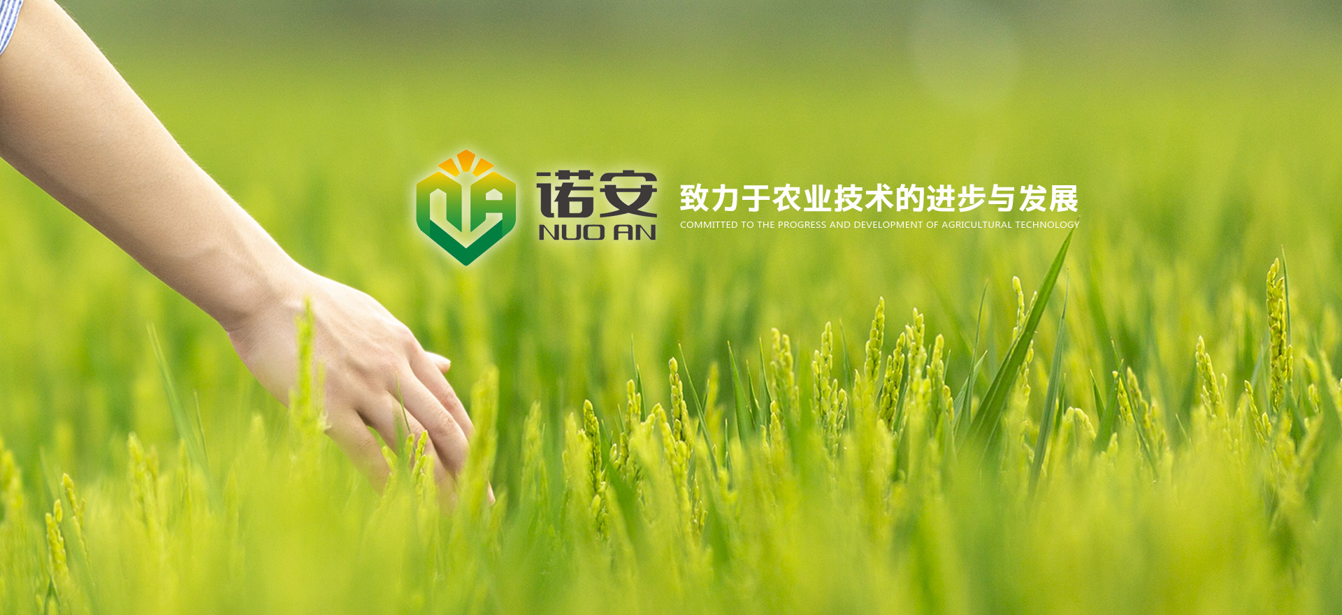 麻豆免费视频(ān)生態肥業 麻豆免费视频生態肥業