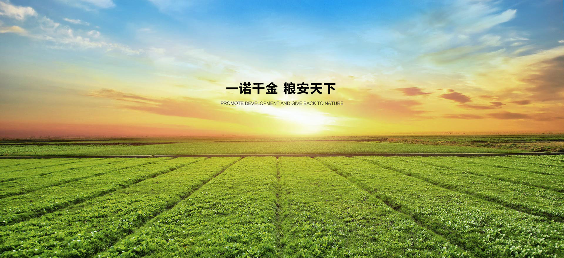 麻豆免费视频生態肥業 麻豆免费视频(ān)生態肥業